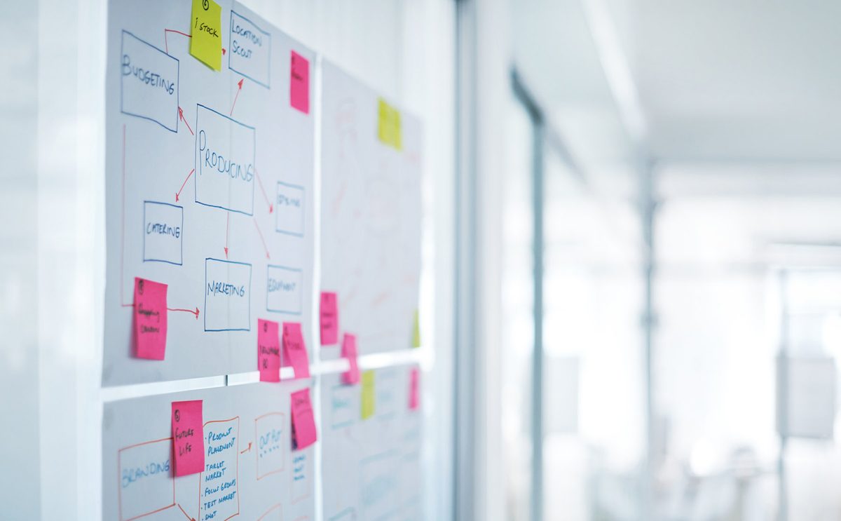Financial officer reviewing company growth plans